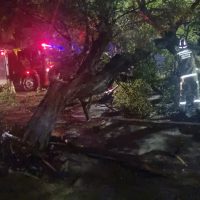 Imagem referente a Árvore de grande porte cai após tempestade e mobiliza Bombeiros e Defesa Civil