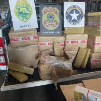 Imagem referente a Operação conjunta apreende drogas e cigarros contrabandeados em Cascavel
