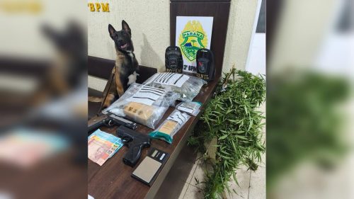 Ação com cão farejador resulta em apreensão de drogas e prisão de três homens