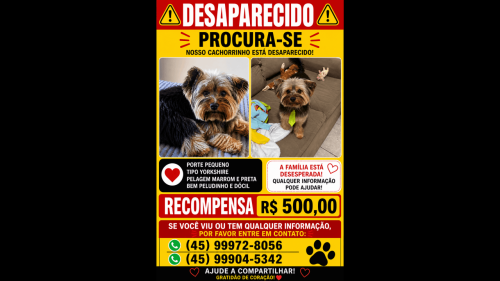 Cachorro Duke desapareceu no bairro 14 de Novembro