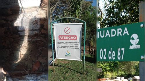 Internauta denuncia túmulo com larvas de mosquito da dengue e água parada em cemitério de Cascavel