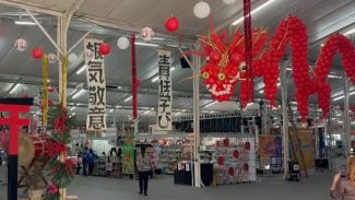 Com entrada gratuita, Nipofest transforma Cascavel em pedaço do Japão neste feriadão