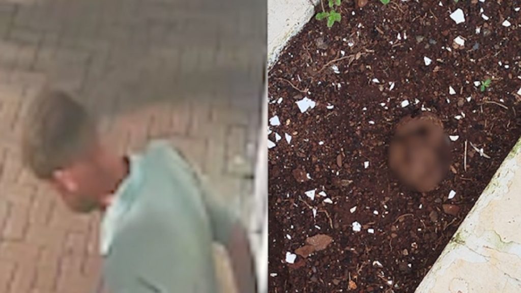 ALERTA: Vídeo mostra homem defecando na Avenida Brasil