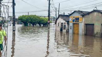 Governo federal reconhece emergência em municípios afetados por chuvas