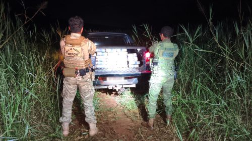 BPFRON e Polícia Federal apreendem mais de 420 kg de maconha em Santa Helena