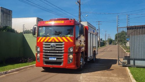 Bombeiros são acionados para captura de cobra em condomínio no Cataratas