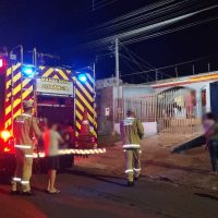 Imagem referente a Drama felino em Cascavel: preso em tela, gato mobiliza bombeiros e foge sem deixar rastros