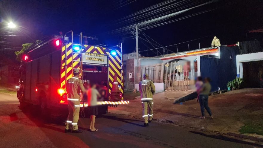 Drama felino em Cascavel: preso em tela, gato mobiliza bombeiros e foge sem deixar rastros