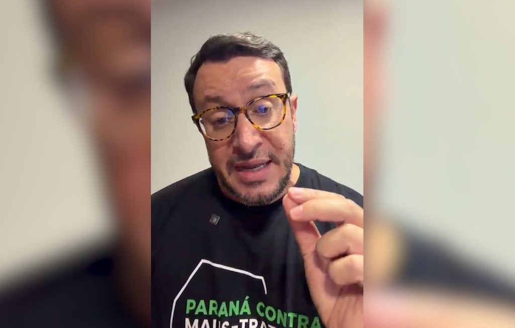 Após atropelamento de cadela em Cascavel, Deputado Matheus Laiola fala sobre responsabilidades
