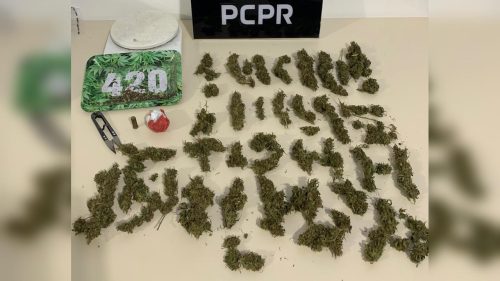 Homem é preso por tráfico de drogas em São Mateus do Sul