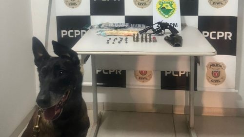 PCPR e PMPR prendem casal por tráfico de drogas em Alto Piquiri