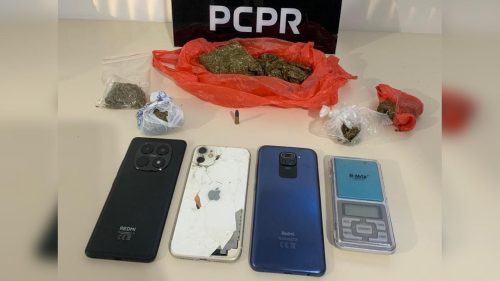 PCPR prende jovem por tráfico de drogas em São Mateus do Sul