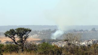 MMA lança edital para arborizar periferia urbana de pequenas cidades
