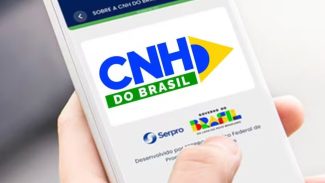 Câmara aprova MP que prevê renovação automática de CNH