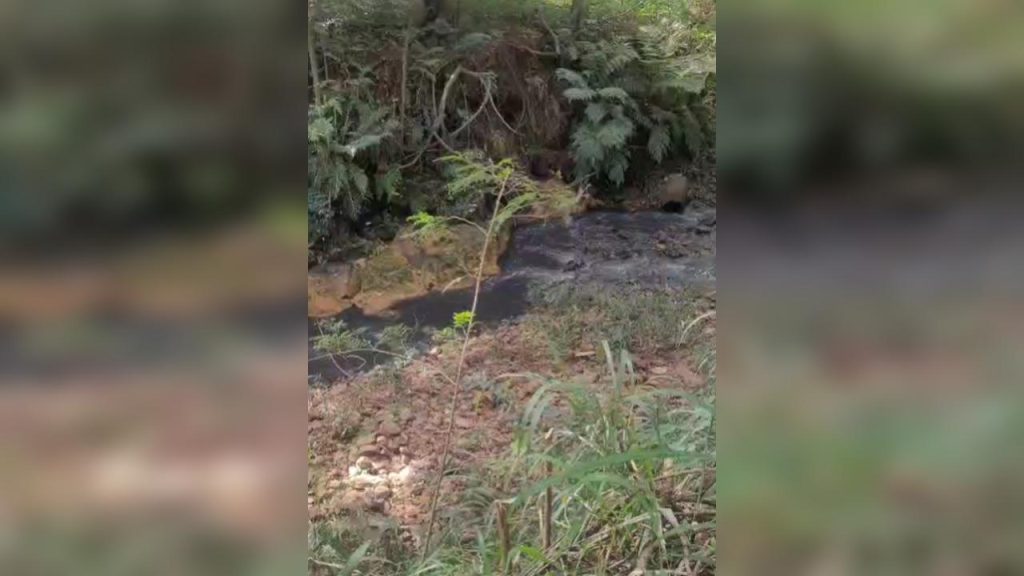 Moradora denuncia despejo de esgoto no Rio Quati em Cascavel