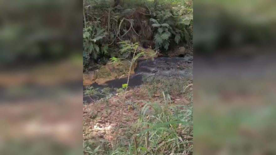 Moradora denuncia despejo de esgoto no Rio Quati em Cascavel