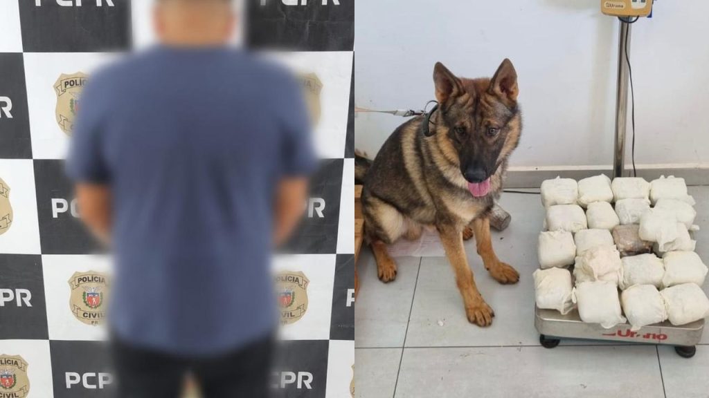 Homem é preso com grande quantidade de haxixe em Cascavel