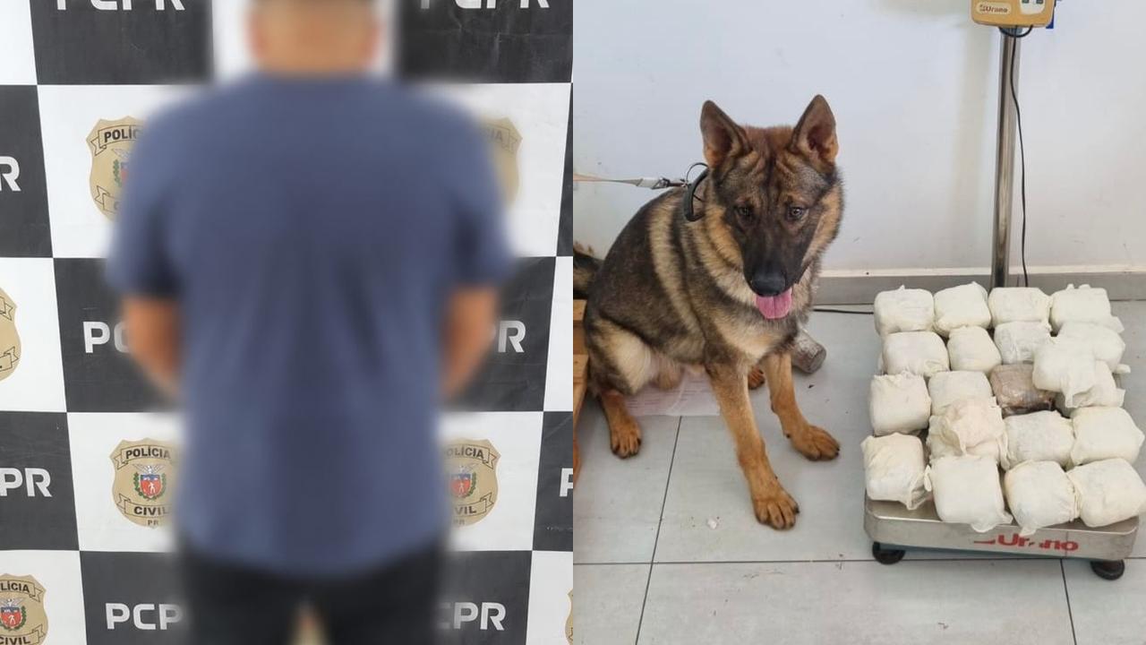 Homem é preso com grande quantidade de haxixe em Cascavel Homem é preso com grande quantidade de haxixe em Cascavel