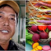 Imagem referente a Feirante aposta em hortaliças coloridas e cultivo natural para incentivar alimentação saudável