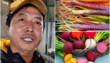 Imagem referente a Feirante aposta em hortaliças coloridas e cultivo natural para incentivar alimentação saudável