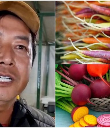 Imagem referente a Feirante aposta em hortaliças coloridas e cultivo natural para incentivar alimentação saudável