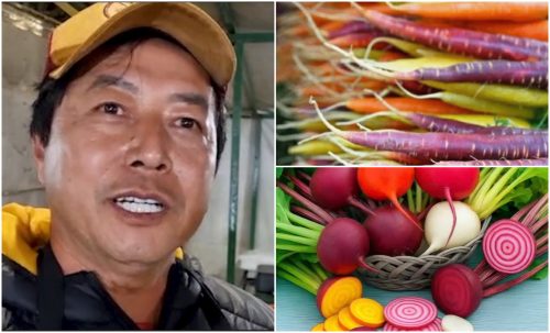 Feirante aposta em hortaliças coloridas e cultivo natural para incentivar alimentação saudável