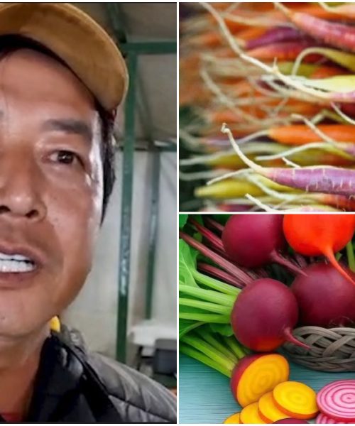 Imagem referente a Feirante aposta em hortaliças coloridas e cultivo natural para incentivar alimentação saudável