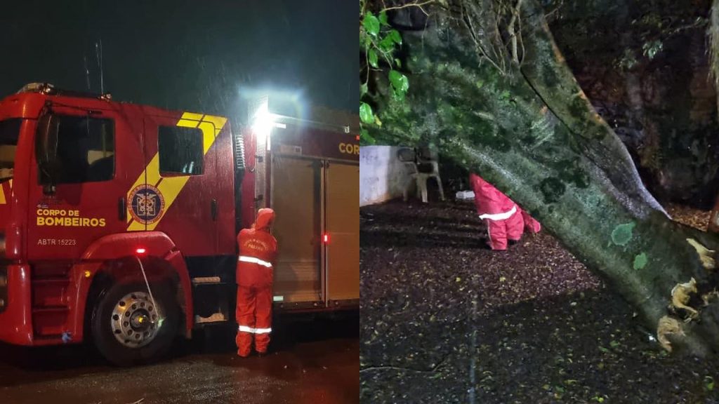 Árvore de grande porte cai sobre residência e mobiliza bombeiros no Cascavel Velho