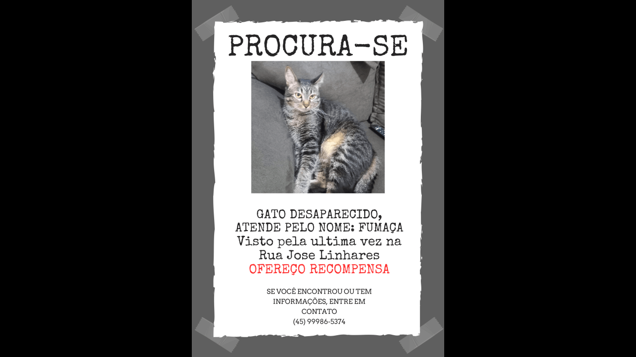 Gato Fumaça desapareceu no bairro Presidente