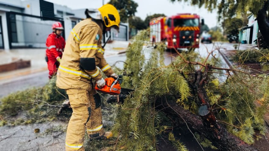 Árvore cai na Rua São Gabriel e Bombeiros são mobilizados