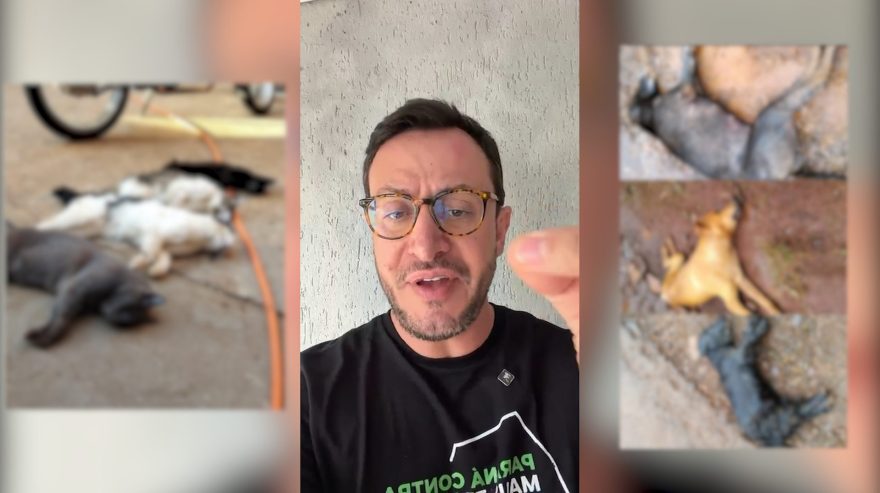 Após morte de 9 animais envenenados, deputado Matheus Laiola cobra “punição exemplar”