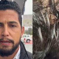 “Hoje eu poderia estar em óbito”, diz gerente de loja atingido na cabeça por barra de ferro Imagem referente a “Hoje eu poderia estar em óbito”, diz gerente de loja atingido na cabeça por barra de ferro