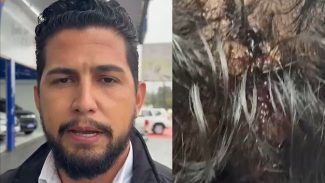 “Hoje eu poderia estar em óbito”, diz gerente de loja atingido na cabeça por barra de ferro “Hoje eu poderia estar em óbito”, diz gerente de loja atingido na cabeça por barra de ferro