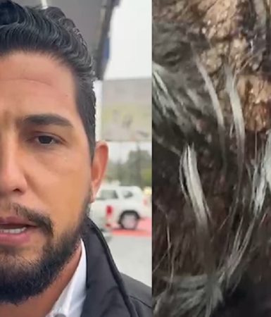 Imagem referente a “Hoje eu poderia estar em óbito”, diz gerente de loja atingido na cabeça por barra de ferro