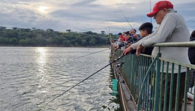 Imagem referente a Curimba gigante e traíra de quase meio metro garantem vitória na Pesca no Lago em Cascavel