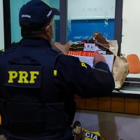 Imagem referente a PRF apreende carga milionária de cigarros eletrônicos e medicamentos em Cascavel