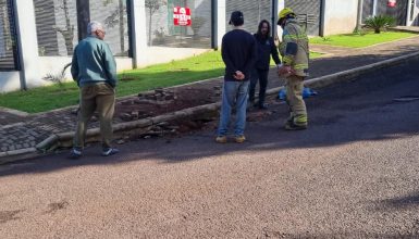 Imagem referente a Pinscher cai em bueiro e Bombeiros são acionados na Rua Castro Alves