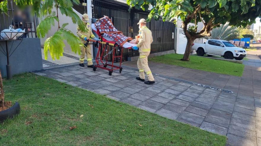 Mulher sofre queda e fica ferida ao colher frutas no Bairro Pioneiros Catarinenses