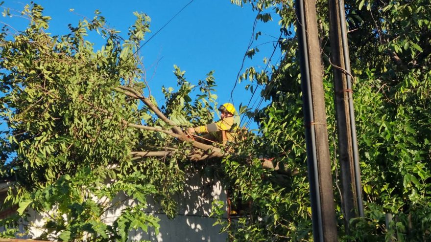 Galhos caem sobre fiação e telhado de residência e mobilizam Bombeiros em Cascavel