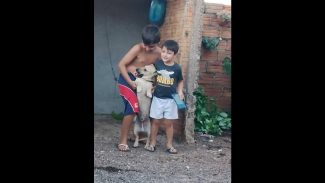 Imagem referente a Cachorro Caramelo desapareceu no bairro Floresta