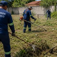 Maquinário público é utilizado para limpeza de terreno particular em Cascavel; Entenda Imagem referente a Maquinário público é utilizado para limpeza de terreno particular em Cascavel; Entenda