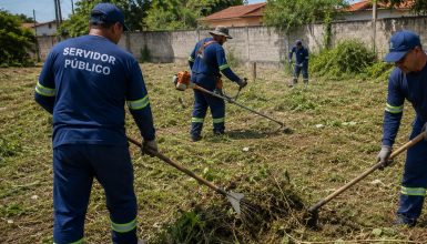 Imagem referente a Maquinário público é utilizado para limpeza de terreno particular em Cascavel; Entenda