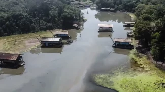 Estudo revela evolução do garimpo ilegal e novas táticas de exploração