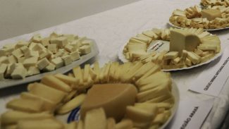 Brasil começa a importar queijo mais barato após acordo Mercosul–UE