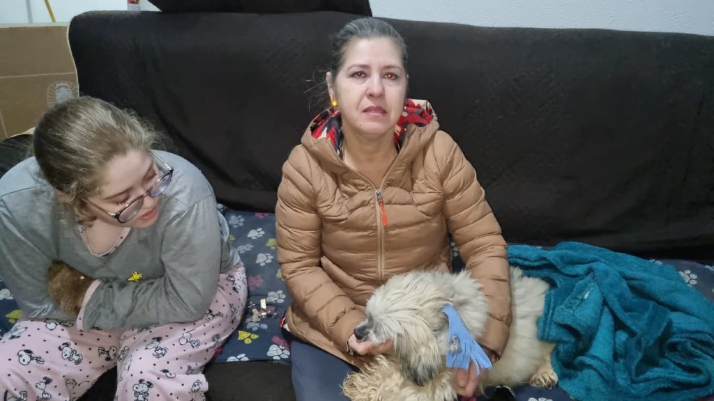 Cão cego resgatado em Cascavel precisa de novo lar: protetora faz apelo por adoção responsável
