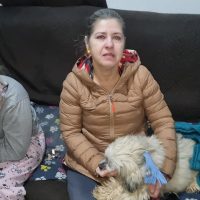 Imagem referente a Cão cego resgatado em Cascavel precisa de novo lar: protetora faz apelo por adoção responsável