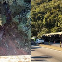 Imagem referente a Caminhão cai de viaduto de 80 metros na BR-277; mulher morreu e pistas foram bloqueadas