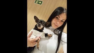 Imagem referente a Cachorra Bella desapareceu no bairro Esmeralda