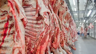 Governo promete reverter veto da UE a carnes e animais brasileiros