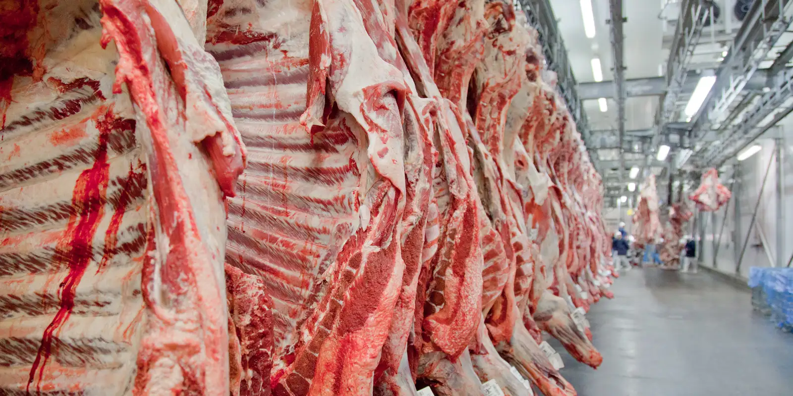 Governo promete reverter veto da UE a carnes e animais brasileiros Governo promete reverter veto da UE a carnes e animais brasileiros